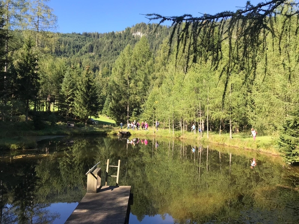 img 20190913 wa0017