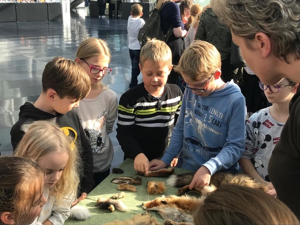 img 20191109 wa0006